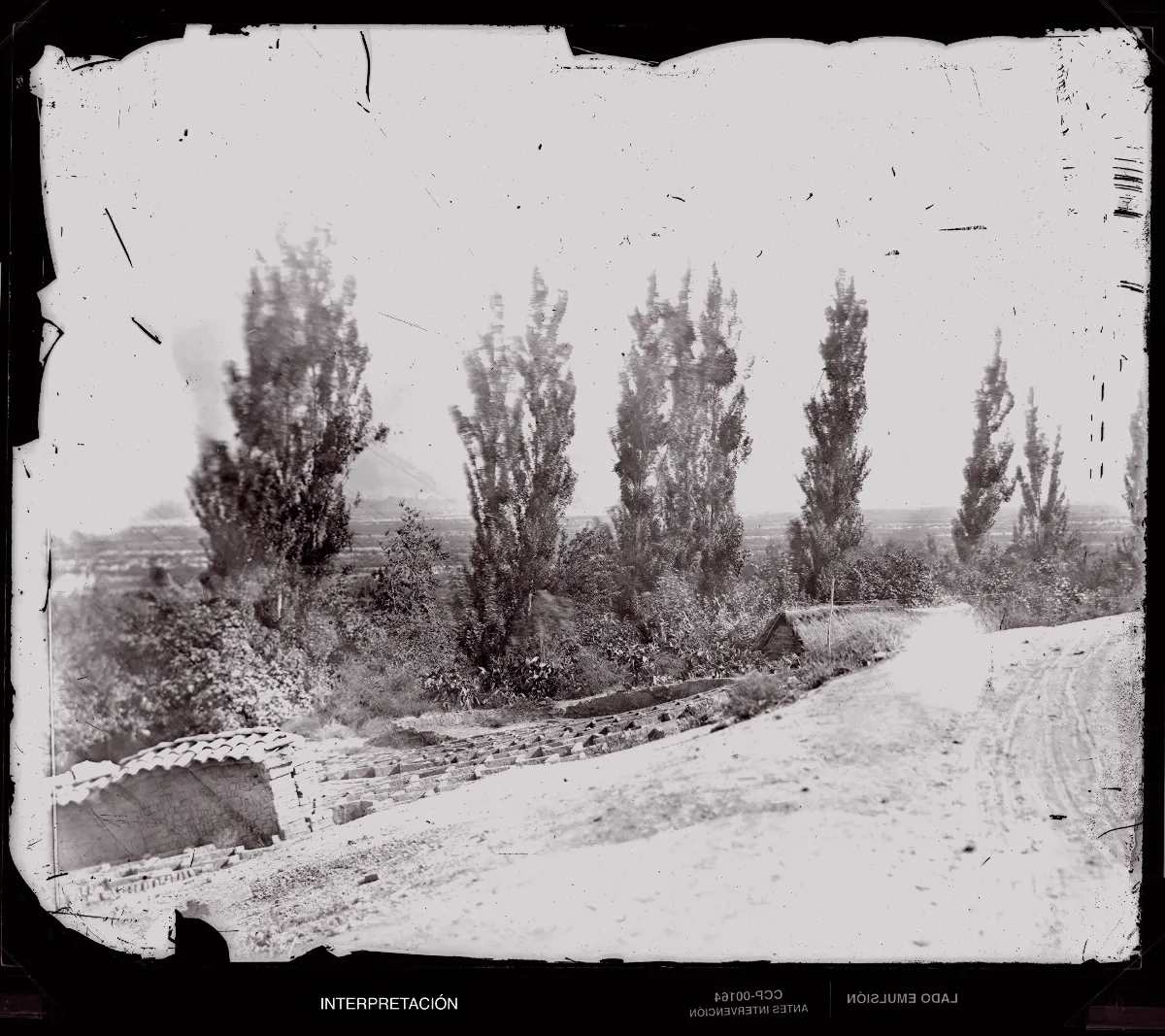 [Camino en Santiago de Chile] — 1863 | Chile de Ayer