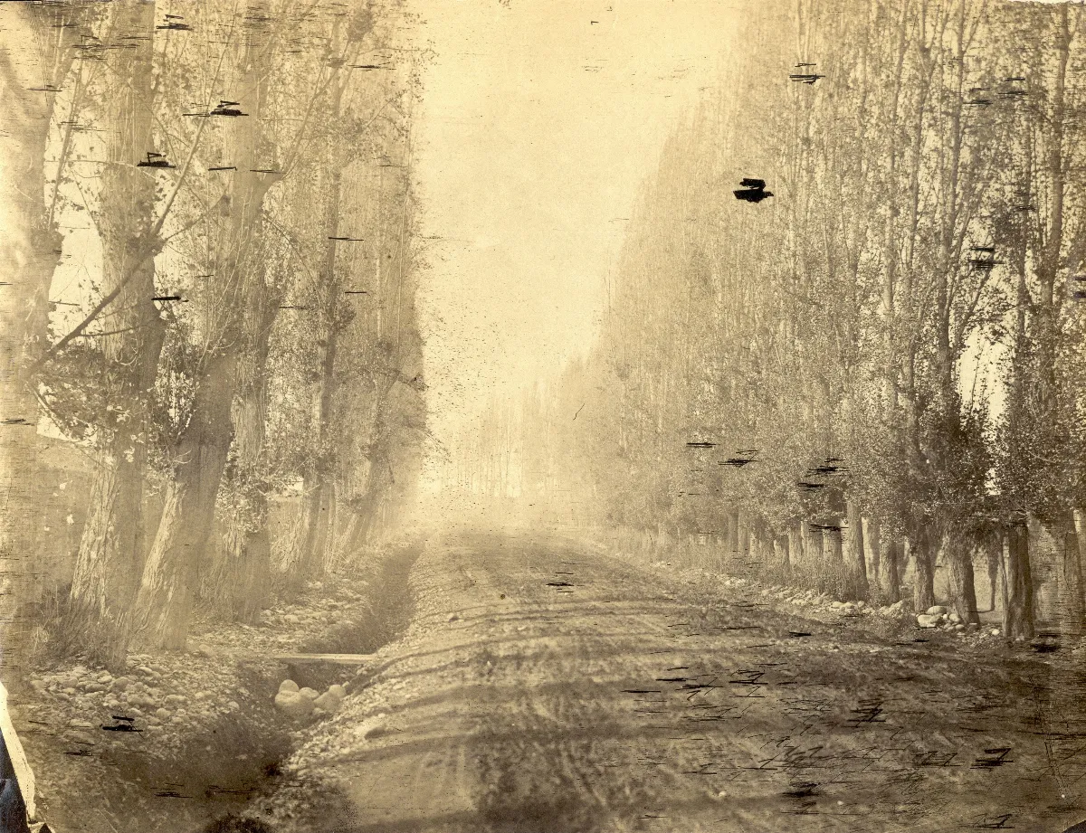 [Camino en Chile] — 1863 | Chile de Ayer