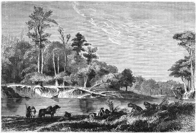 Bosque a orillas del río Sedger — aprox. 1861 | Chile de Ayer