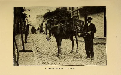 Vendedor de pollos, Valparaíso, 1912 — aprox. 1912 | Chile de Ayer