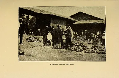 Escena de mercado, Santiago, 1912 — aprox. 1912 | Chile de Ayer