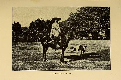 Hacendado chileno, 1912 — aprox. 1912 | Chile de Ayer
