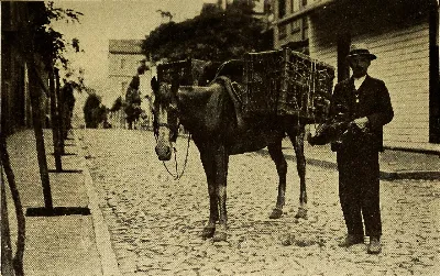 Vendedor de pollos, Valparaíso, 1912 — aprox. 1912 | Chile de Ayer