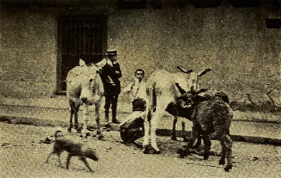 Vendedor de leche de burra, Valparaíso, 1912 — aprox. 1912 | Chile de Ayer