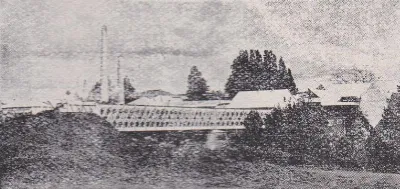Puente Damas, circa 1929 — aprox. 1929 | Chile de Ayer