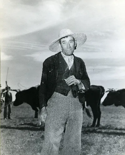 Arriero con bueyes (huaso), Chillán, Región del Bío-Bío — aprox. 1944 | Chile de Ayer