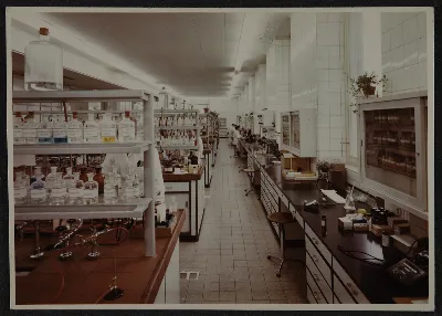Planta de Elberfeld — aprox. 1956 | Chile de Ayer