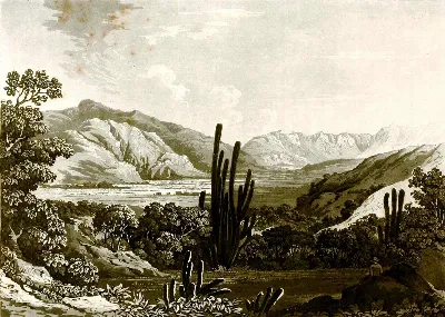 Desde el pie de la cuesta de Prado — aprox. 1824–1930 | Chile de Ayer