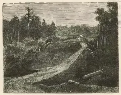 Puerto Montt - Camino a la laguna de Llanquihue — 1872 | Chile de Ayer