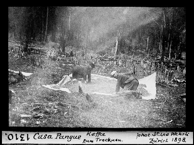 Casa Pangue, Kafee Rum Tracknen, Zurich 1898 — aprox. 1898–1940 | Chile de Ayer