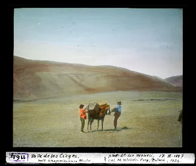 Diapositiva coloreada por Margrit Wehrli-Frey, 1924 — aprox. 1897–1940 | Chile de Ayer