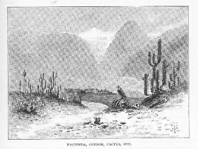 Hacienda, cóndor y cactus en la costa de Chile — aprox. 1890–1930 | Chile de Ayer