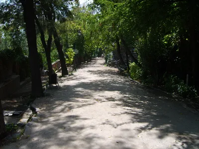 Antiguo Camino del Ferrocarril — aprox. 1880–1930 | Chile de Ayer