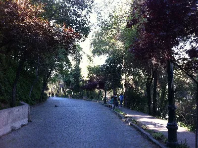 Sendero adoquinado entre árboles con contraluz en el Cerro Santa Lucía, Santiago — aprox. 1880–1930 | Chile de Ayer