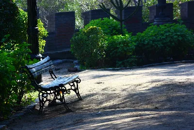 Banca solitaria a la sombra en un sendero del Cerro Santa Lucía, Santiago — aprox. 1880–1930 | Chile de Ayer
