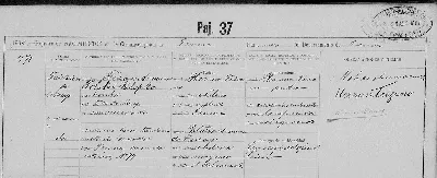 Acta de nacimiento de Tolstoï Klapka Trizano Aravena — aprox. 1902 | Chile de Ayer