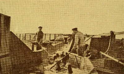 Bañadero de ovejas en una estancia magallánica, 1924 — 1924 | Chile de Ayer