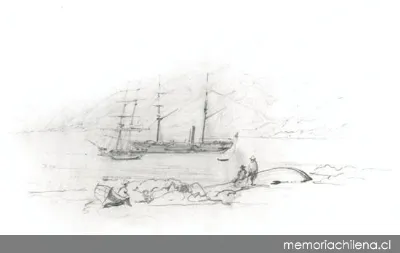 Barcos en el puerto de Cobija, hacia 1900 — 1900 | Chile de Ayer
