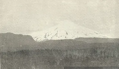 Bosques de la Provincia de Cautín y el volcán Villarrica — 1895 | Chile de Ayer