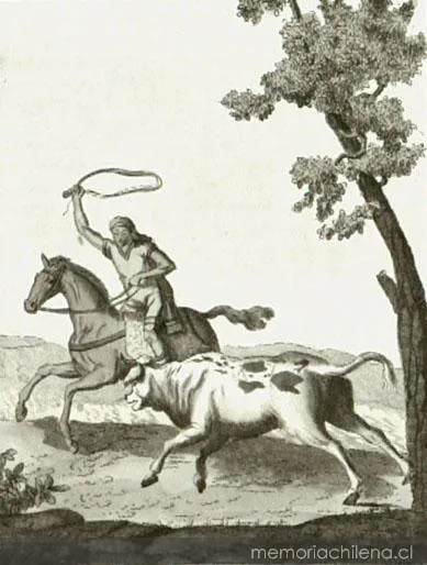 Caza de toros salvajes en Chile, 1810 — 1810 | Chile de Ayer
