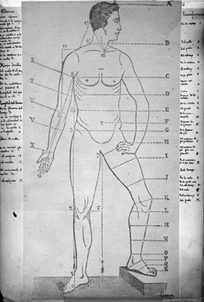 Dibujo del cuerpo humano, hacia 1884 — 1884 | Chile de Ayer