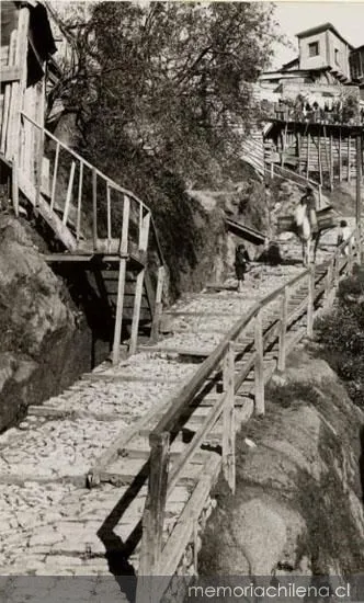 Escalera en cerro Bellavista, 1900 — 1900 | Chile de Ayer