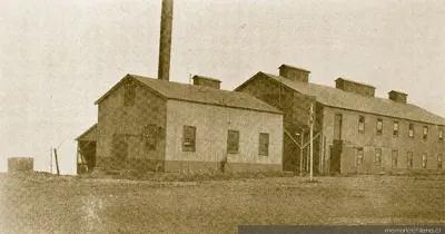 Grasería de la Estancia San Gregorio, 1920 — 1920 | Chile de Ayer