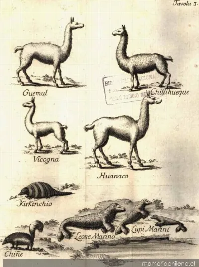 Animales de Chile, 1776 — 1776 | Chile de Ayer