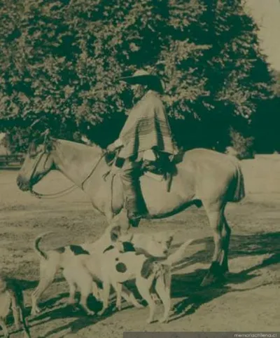 Hombre a caballo y sus perros, 1906 — 1906 | Chile de Ayer