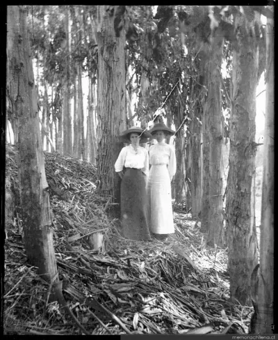 Mujeres en un bosque, hacia 1900 — 1900 | Chile de Ayer