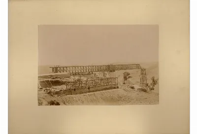 Viaducto de Malleco, vista de torres metálicas en construcción — 1886 | Chile de Ayer