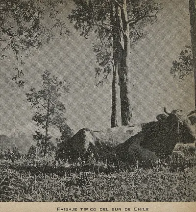 Paisaje típico del sur de Chile, 1942 — 1942 | Chile de Ayer