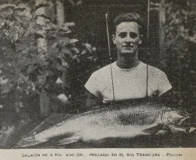 Pesca de salmón en el Río Trancura, Pucón, 1942 — 1942 | Chile de Ayer