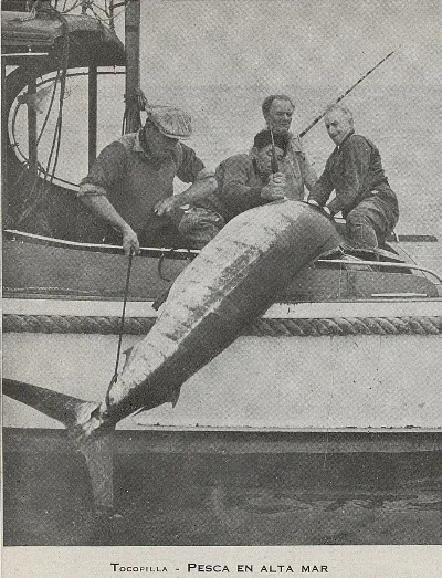 Pesca en alta mar en Tocopilla, 1943 — 1943 | Chile de Ayer