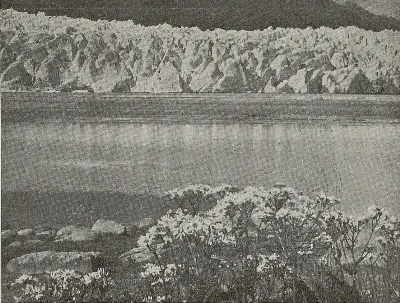 Ventisquero San Rafael, 1943 — 1943 | Chile de Ayer