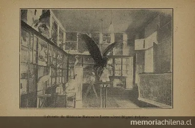 Gabinete de Historia Natural del Liceo de Señoritas " — 1926 | Chile de Ayer