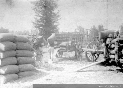 Carga de sacos de trigo, hacia 1930 — 1930 | Chile de Ayer