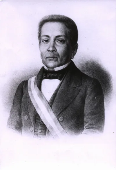 Manuel Montt Torres, hacia 1851 — 1858 | Chile de Ayer