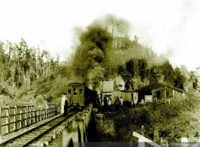 Puente del ferrocarril entre Castro y Ancud, hacia 1930 — 1930 | Chile de Ayer