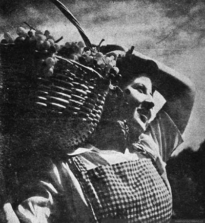 Recolectora de uvas, hacia 1945 — 1945 | Chile de Ayer
