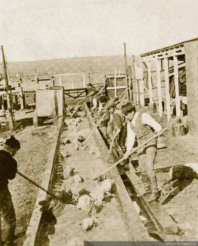 Obreros bañando ovejas en la Estancia Cameron, Tierra del Fuego, 1920 — 1920 | Chile de Ayer