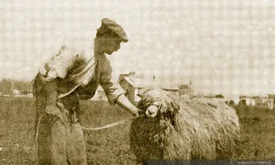Pastor de la Estancia Tres Chorrillos, Magallanes, 1920 — 1920 | Chile de Ayer