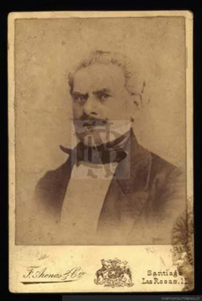 Retrato de hombre, hacia 1890 — 1890 | Chile de Ayer