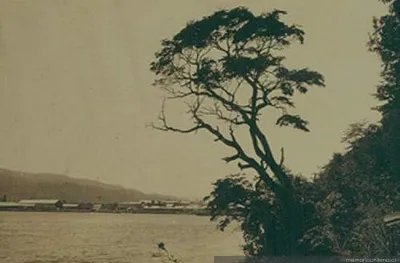 Vista a un lago, 1906 — 1906 | Chile de Ayer