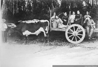 Retrato de grupo, 1905 — 1905 | Chile de Ayer