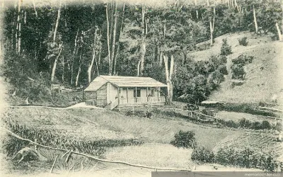 Restaurante en merdio de la Montaña virgen, Temuco, 1905 — 1905 | Chile de Ayer