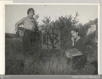 Dos niñas recolectando moras — 1910 | Chile de Ayer