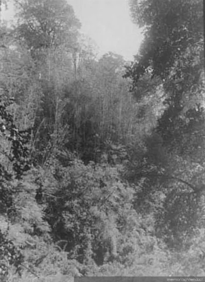 Puerto Montt, 1906 — 1906 | Chile de Ayer