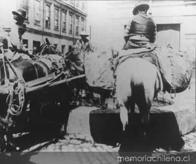 Caballos abrevando, 1906 — 1906 | Chile de Ayer