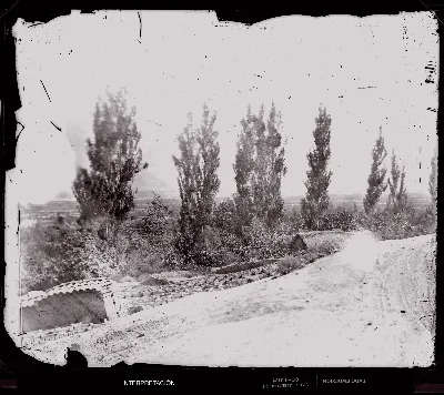 [Camino en Santiago de Chile]